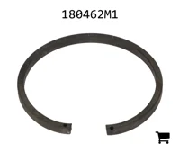 AGCO 180462M1 Кольцо