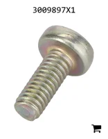 AGCO 3009897X1 Винт с плоской головкой