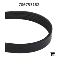 AGCO 700753182 Ремень Micro-V