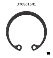 AGCO 3708615M1 Стопорное кольцо