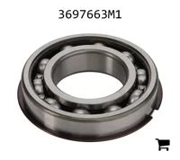 AGCO 3697663M1 Шариковый подшипник