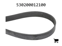 AGCO 530200012100 Ремень привода