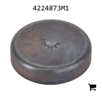 AGCO 4224873M1 Заглушка