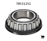 AGCO 70531251 Конический роликовый подшипник (конус)