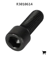 AGCO R3010614 Винт