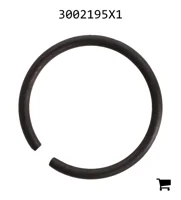 AGCO 3002195X1 Стопорное кольцо