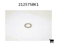 AGCO 2125750K1 Проставочная втулка