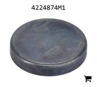 AGCO 4224874M1 Заглушка