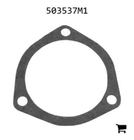 AGCO 503537M1 Прокладка