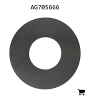 AGCO AG705666 Шайба