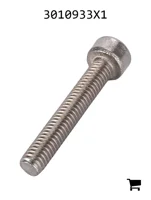 AGCO 3010933X1 Винт с внутренним шестигранником