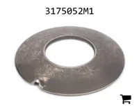 AGCO 3175052M1 Шайба