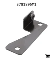 AGCO 3781895M1 Пластина