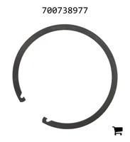 AGCO 700738977 Стопорное кольцо