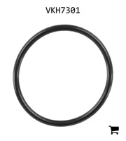 AGCO VKH7301 Уплотнительное кольцо