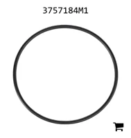 AGCO 3757184M1 Уплотнительное кольцо