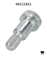 AGCO 402218X1 Болт