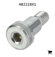 AGCO 402218X1 Болт