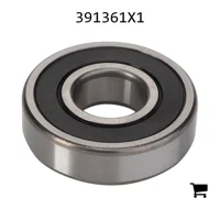 AGCO 391361X1 Подшипник 6305 2RS