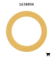 AGCO 163809A Кольцо