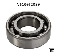 AGCO V610062050 Шариковый подшипник