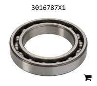AGCO 3016787X1 Шариковый подшипник