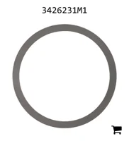 AGCO 3426231M1 Шайба