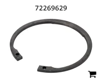 AGCO 72269629 Кольцо