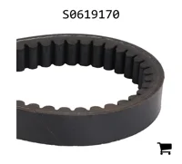 AGCO S0619170 Ремень