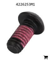 AGCO 4226253M1 Винт