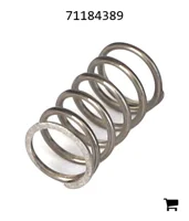 AGCO 71184389 Пружина
