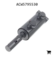 AGCO ACW5795530 Гидроцилиндр