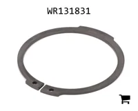 AGCO WR131831 Стопорное кольцо