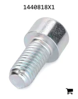 AGCO 1440818X1 Винт с цилиндрической головкой и шестигранным углублением