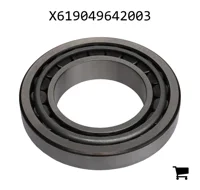 AGCO X619049642003 Конический роликовый подшипник