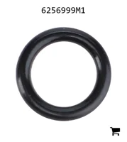 AGCO 6256999M1 Уплотнительное кольцо топливного фильтра