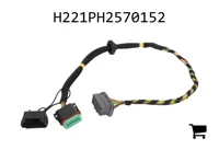 AGCO H221PH2570152 Комплект кабелей