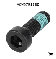 AGCO ACW6791100 Винт с цилиндрической головкой и шестигранным углублением
