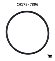 AGCO CH175-7896 Уплотнительное кольцо