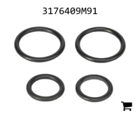 AGCO 3176409M91 Ремкомплект