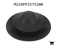 AGCO M219PP2575200 Заглушка