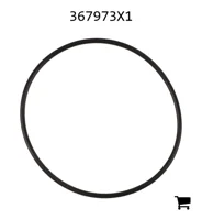 AGCO 367973X1 Уплотнительное кольцо