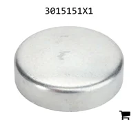 AGCO 3015151X1 Заглушка