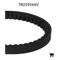 AGCO 70259566V Приводной ремень вентилятора