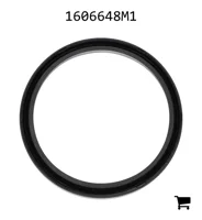 AGCO 1606648M1 Кольцо гидроцилиндра подъема