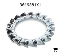 AGCO 3019881X1 Зубчатая шайба