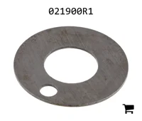 AGCO 021900R1 Шайба