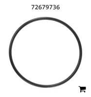AGCO 72679736 Уплотнительное кольцо