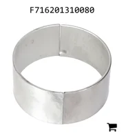 AGCO F716201310080 Подшипник