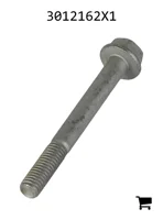 AGCO 3012162X1 Болт с шестигранной головкой и фланцем